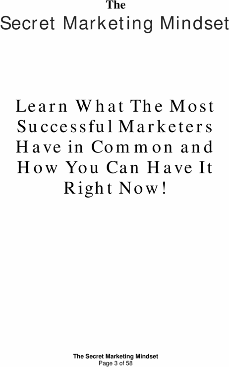 Product picture The Secret Marketing Mindset